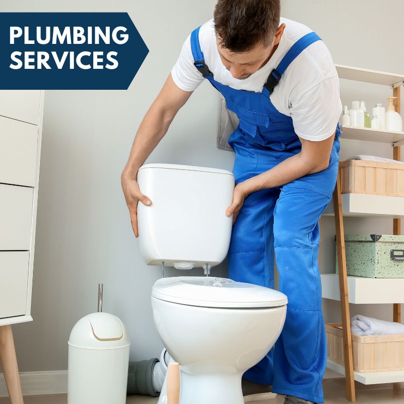 Plumbing Company in North Port, FL